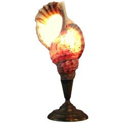 19th Century Mounted Seashell Table Lamp