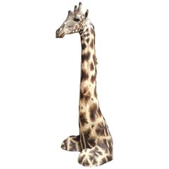 Giraffe Giraffa Camelopardalis