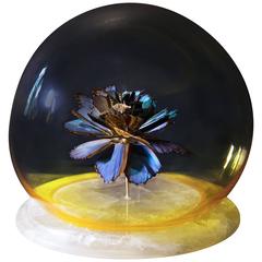 Decorative Natural Taxidermy Butterfly Sculpture in Gold, Glass and Quartz