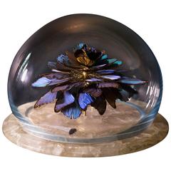 Decorative Natural Taxidermy Butterfly Sculpture in Gold, Glass and Quartz
