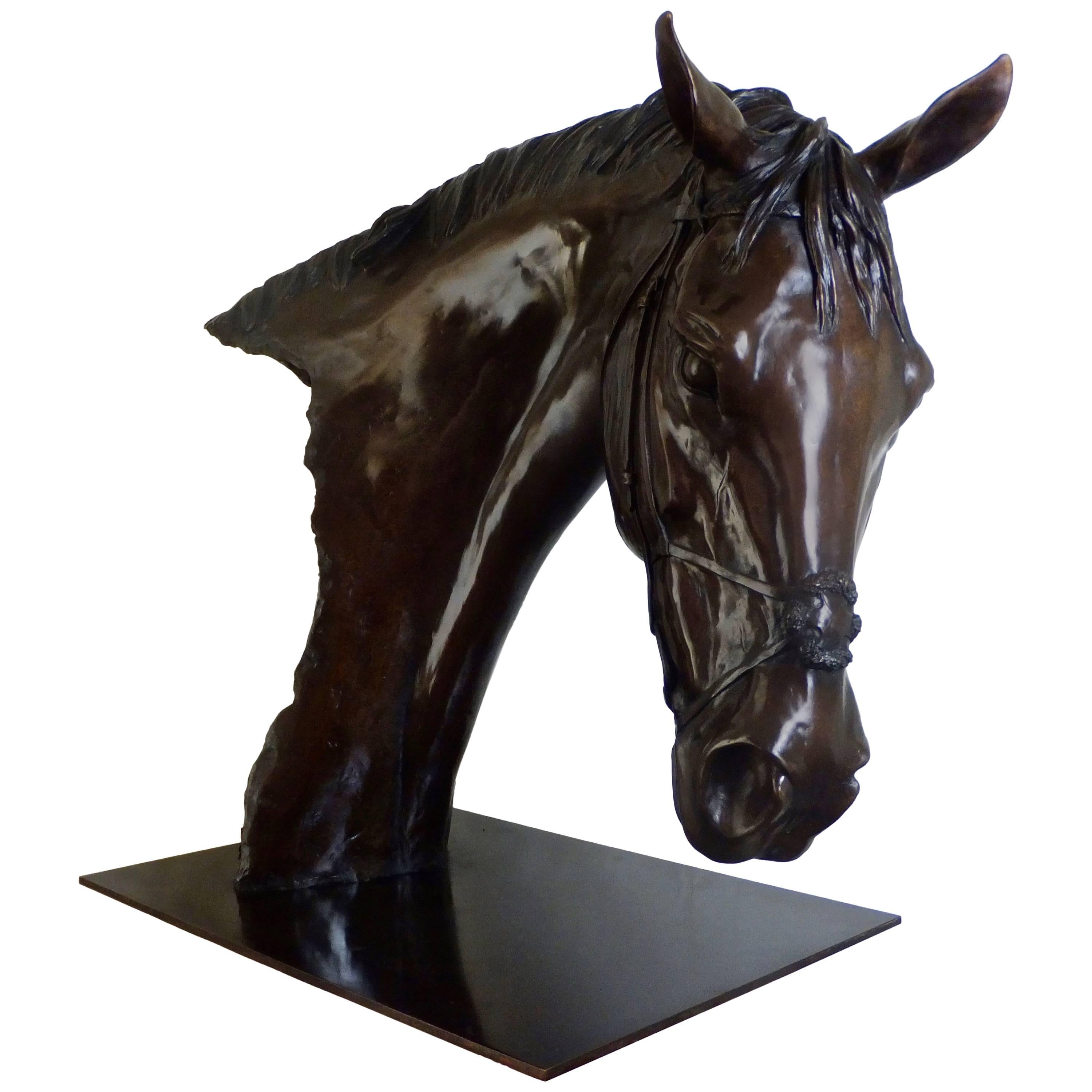'Frankel, ' a Contemporary Bronze Sculpture of a Race Horse For Sale