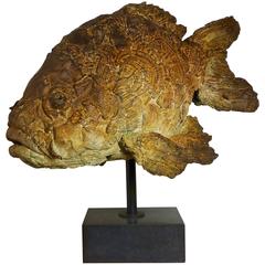 Contemporary Bronze Fish Sculpture 'Oscar, ' by Pieter Vanden Daele