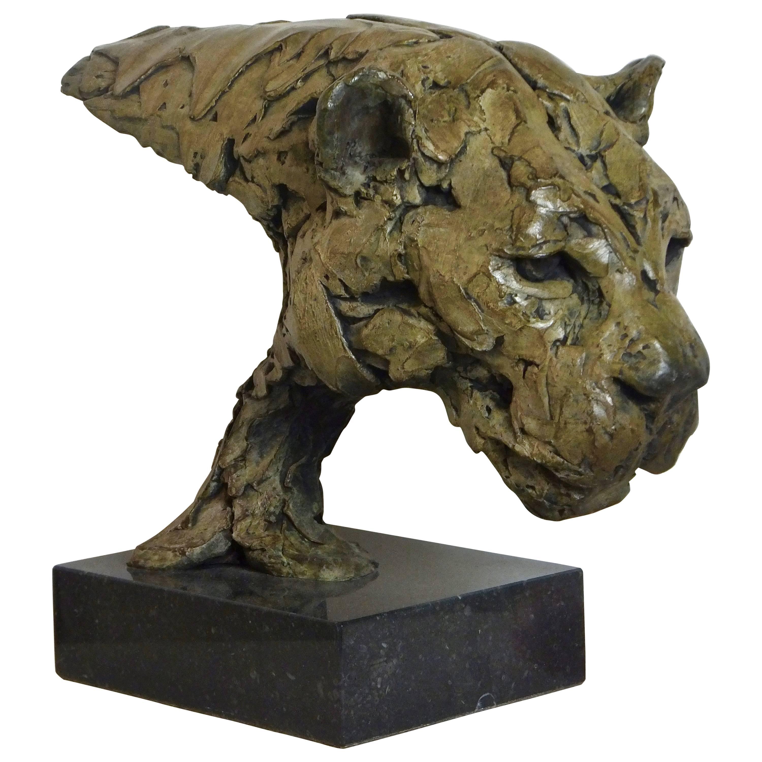 Contemporary Bronze Sculpture of a Leopard by Hamish Mackie For Sale