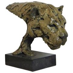 Contemporary Bronze Sculpture of a Leopard by Hamish Mackie
