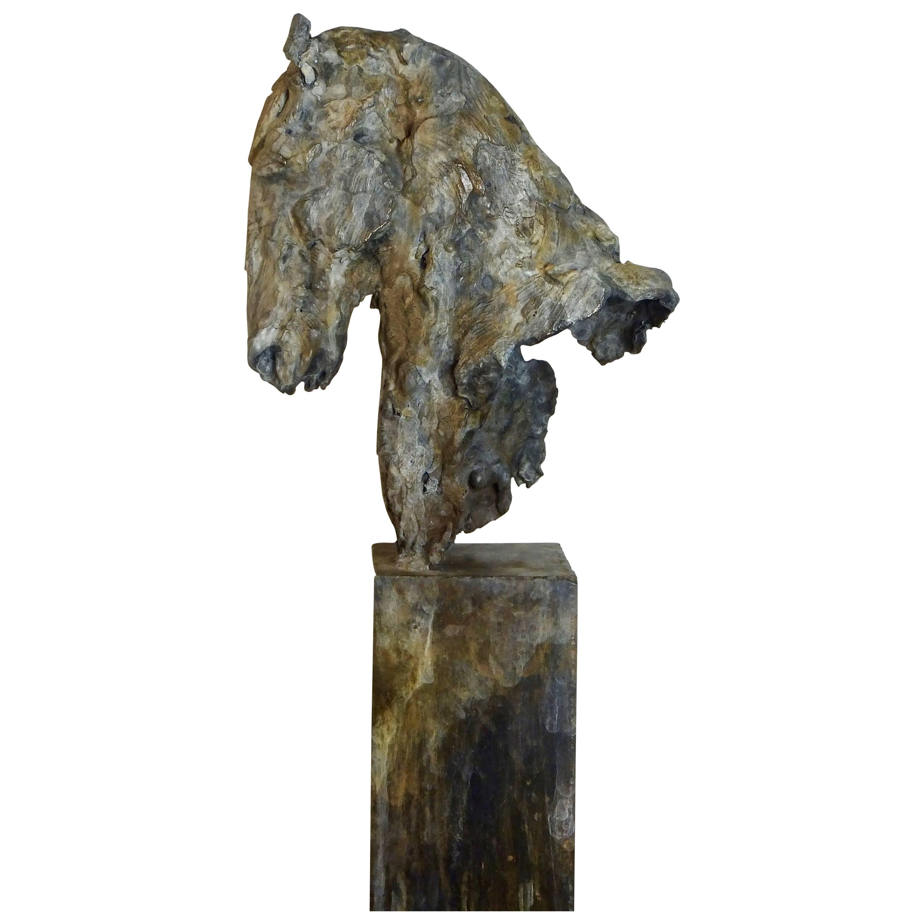 Contemporary Bronze Horse Sculpture by Andrew Lacey For Sale
