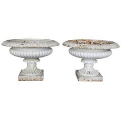 Antique Pair of 19th Century Wire Cast Iron Urns 11