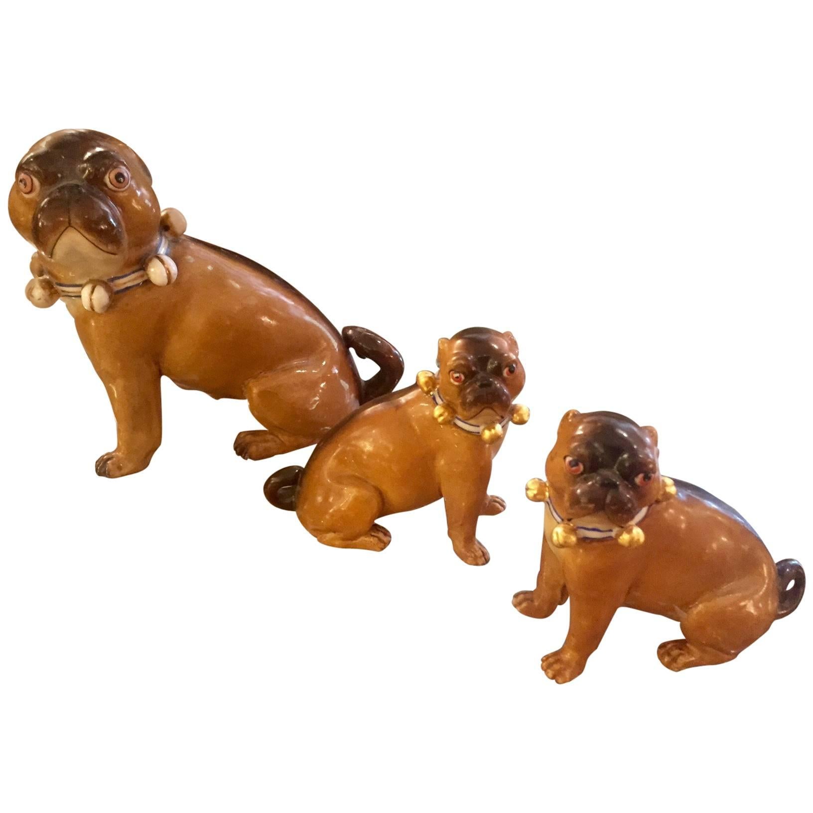 Adorable Trio of Staffordshire Bulldogs