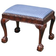 19th Century Chippendale Style Footstool in Mahogany