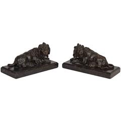 Pair of 19th Century Bronze Models of Recumbent Lions