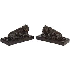 Pair of 19th Century Bronze Models of Recumbent Lions