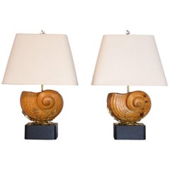 Pair of Carved Wood Nautilus Shell Lamps