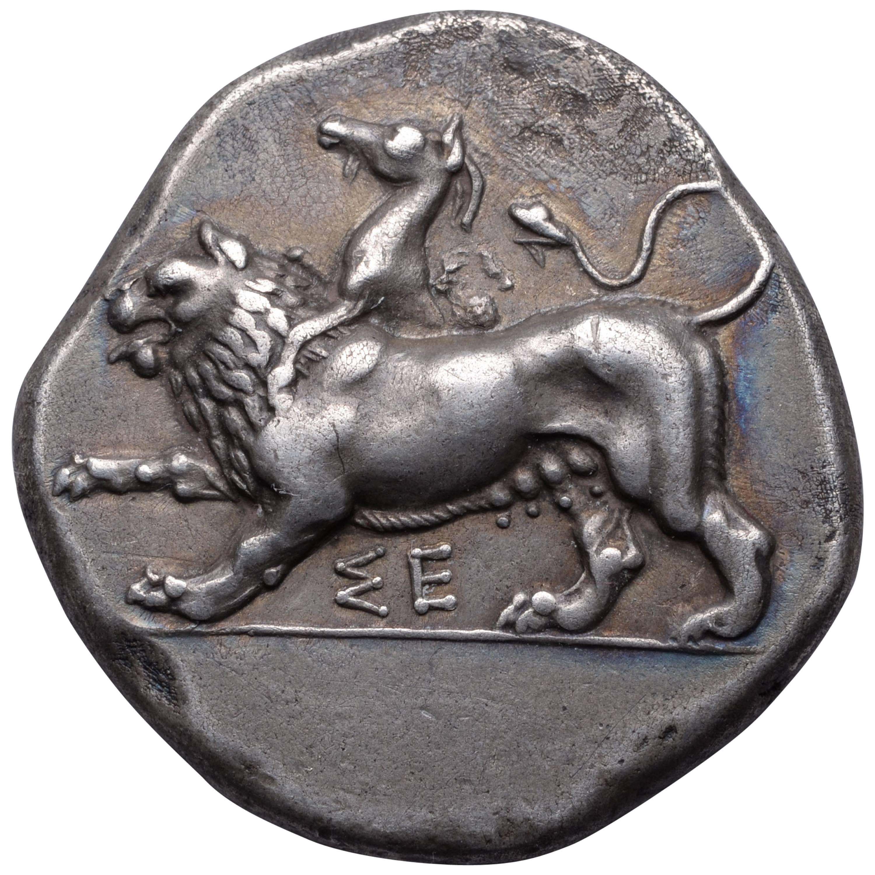 Ancient Greek Silver Stater Coin from Sikyon, 431 BC