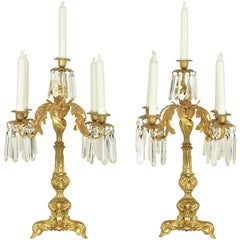 19th Century Pair of Neo-Rococo Style Gilt Bronze crystal glass Candelabras