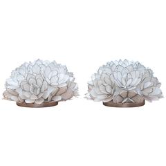 Mother of Pearls Wall Sconces Set of Two