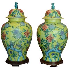 Pair of Large Vintage Asian Lidded Ginger Jars