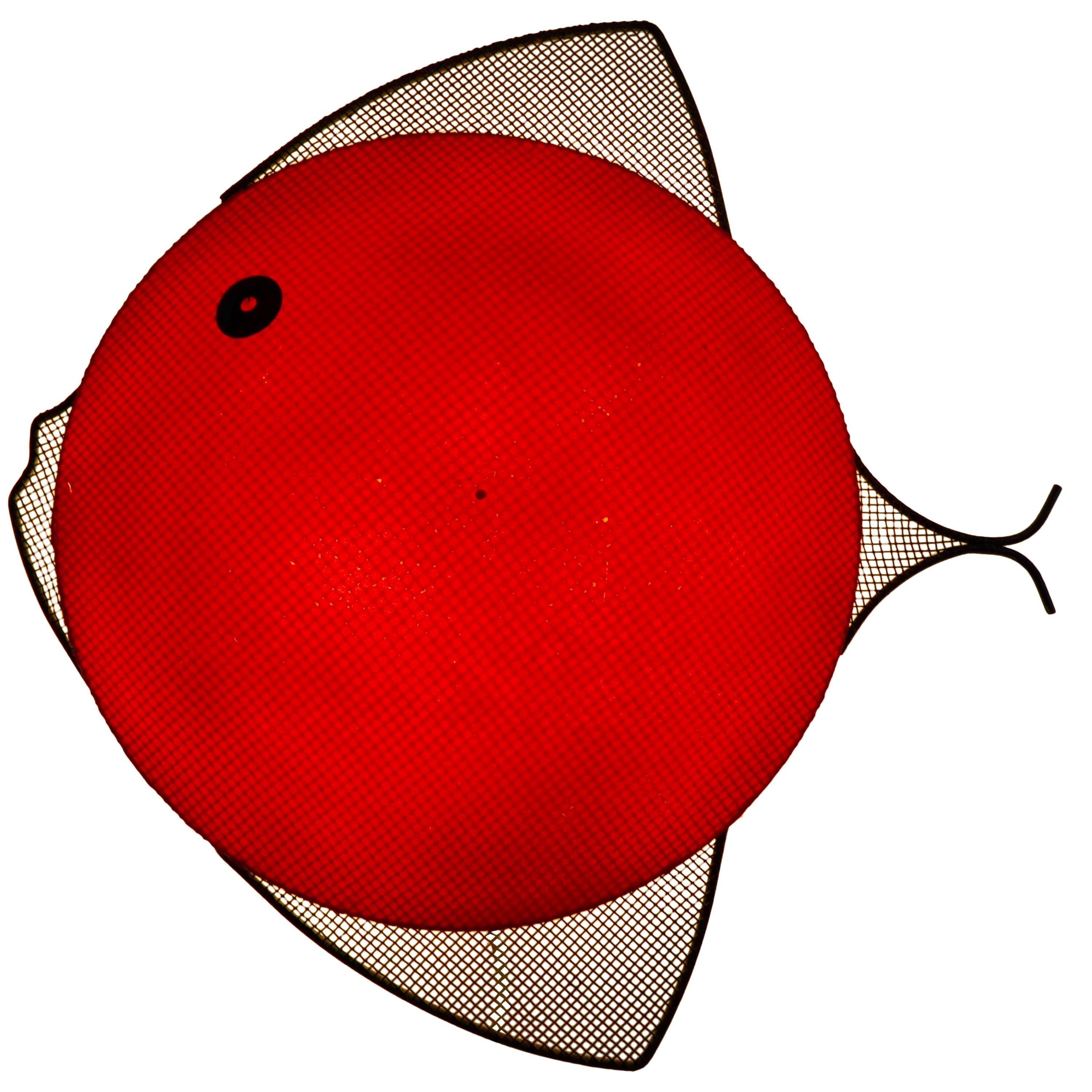 Rare American Mid-Century Fish Wall Lamp by Frederick Weinberg, 1950s