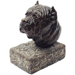 Bronze Mastiff Bust on Granite Base, Signed SCP, Early 20th Century