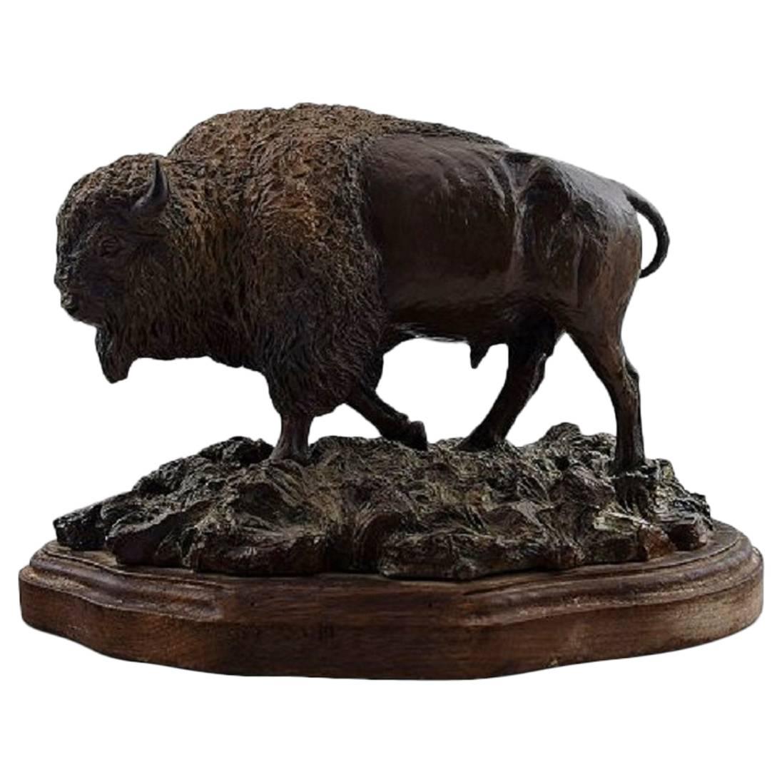 Kim McCall, American Artist, Large Buffalo/Bison in Bronze, Wooden Base