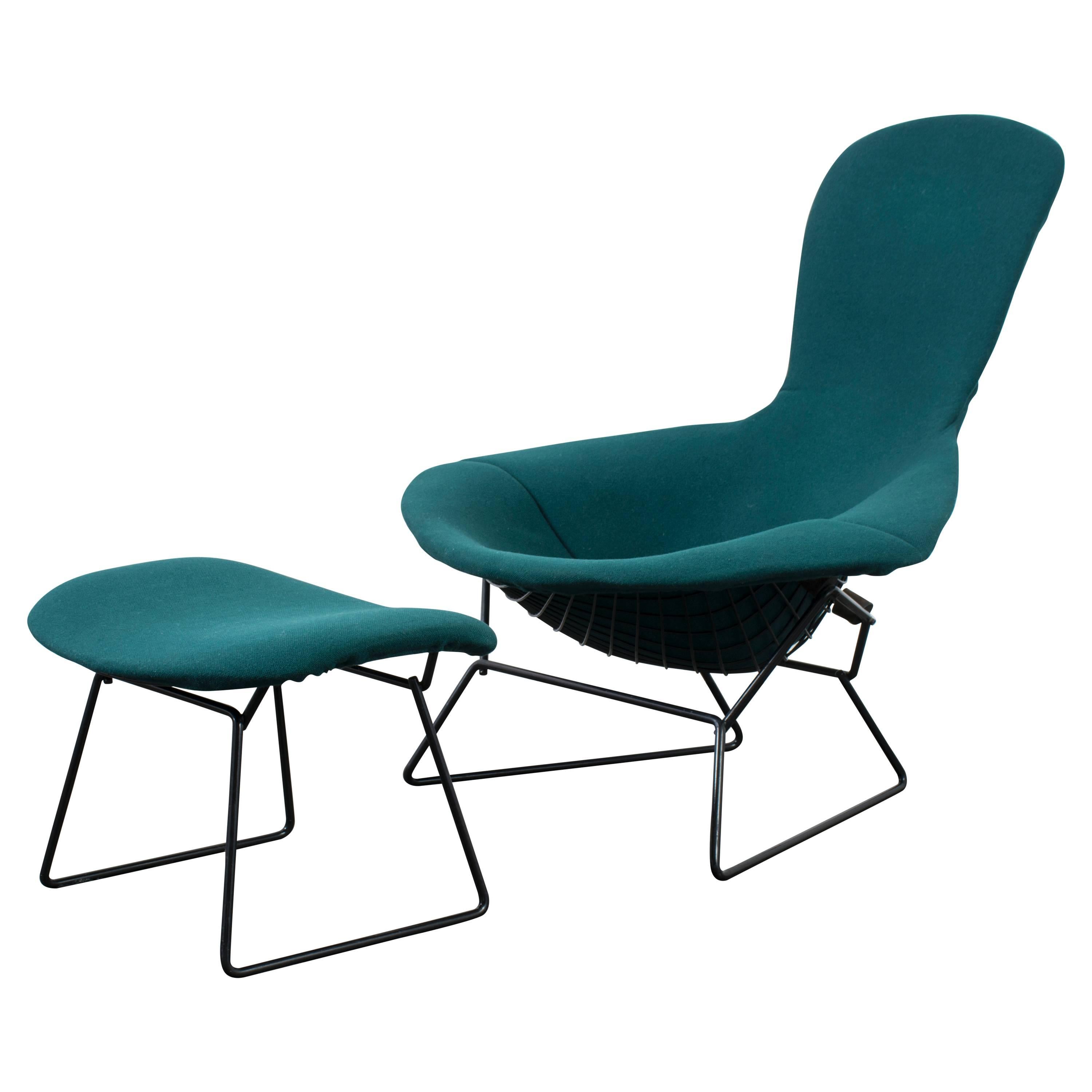 Vintage Bird Chair and Ottoman by Harry Bertoia for Knoll