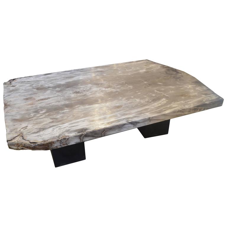 Petrified Wood Coffee Table at 1stdibs