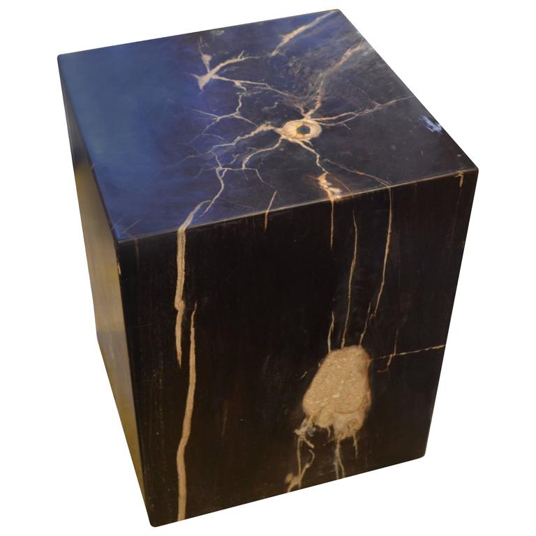Petrified Wood Side Table at 1stDibs