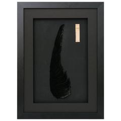 Antique French Millinery Aigrette Graphic Art, Black Angel Wing 10