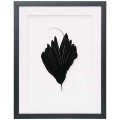 Antique French Millinery Aigrette Art, Leah Chalfen of LAFF 3