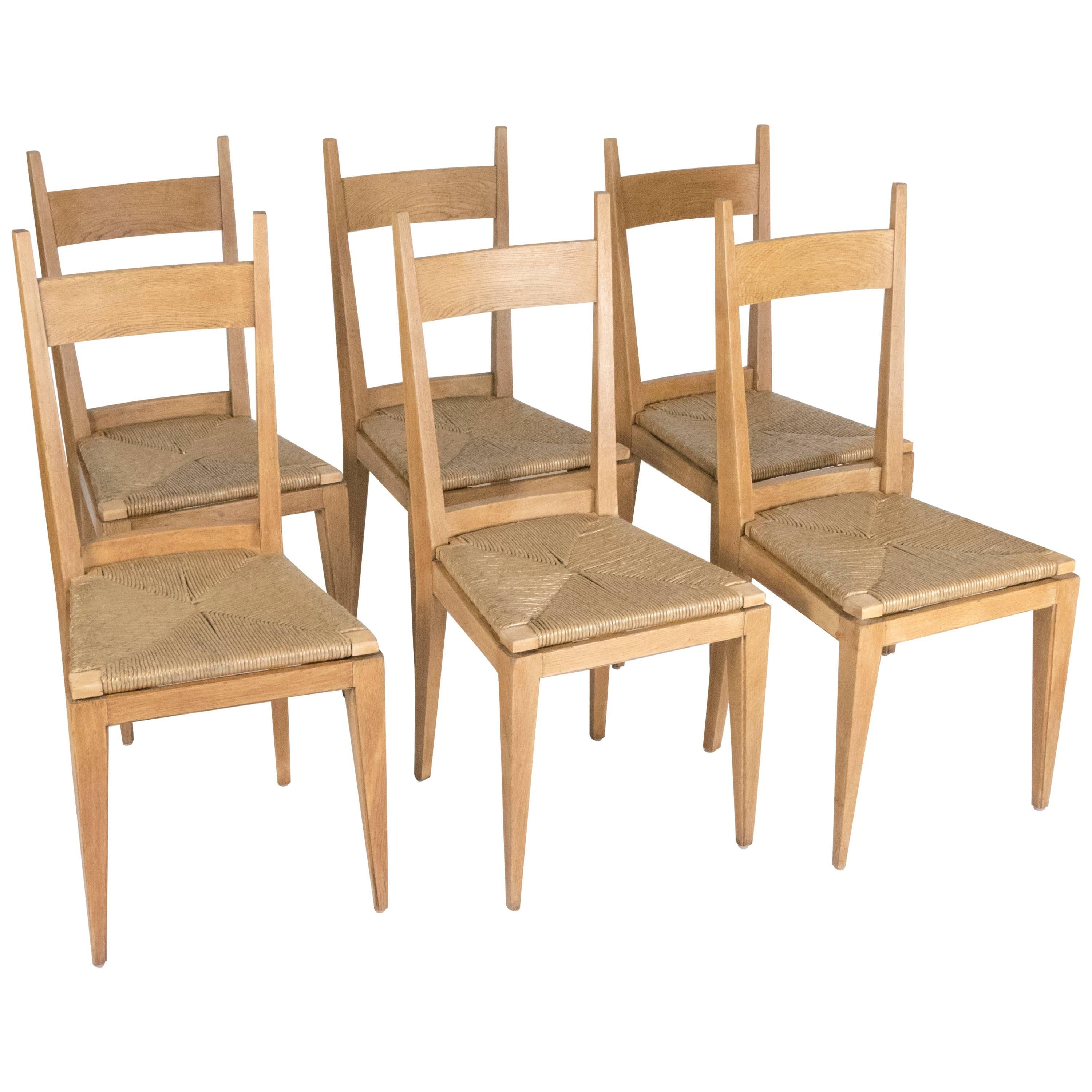 Seat of Six Oak Dining Chairs