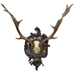 19th Century Fallow Trophy on Black Forest Plaque with Hunt Horn