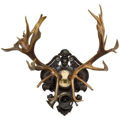 19th Century Red Stag Trophy of Ludwig II of Bavaria with Original Hunt Horn