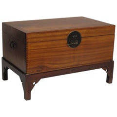 Chinese Camphor Wood Trunk on Stand