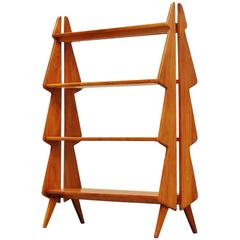 French Bookcase in Cherrywood Tree Shaped, 1960
