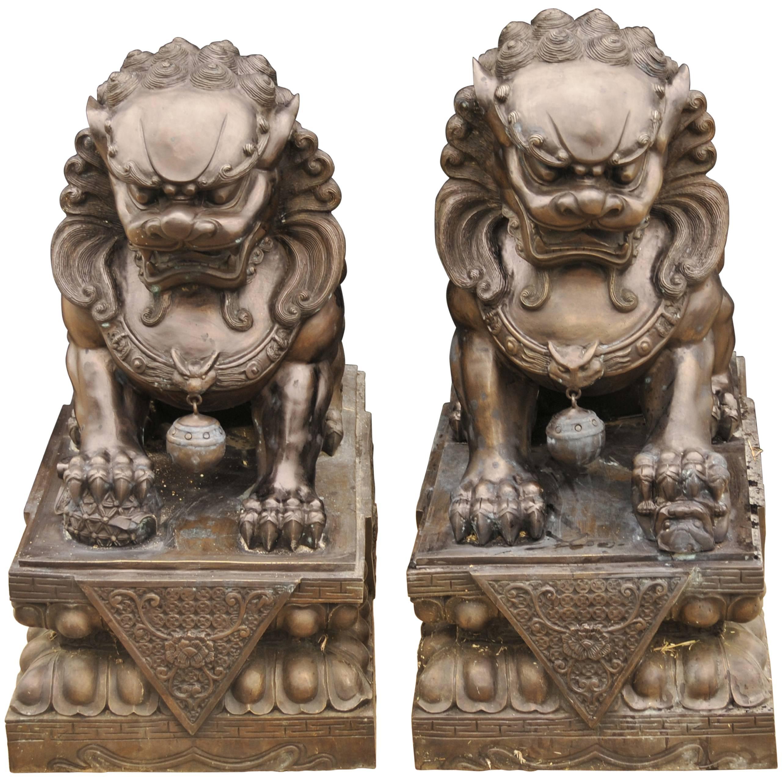 Pair of Extra Large Bronze Chinese Foo Dogs Keiloon Fu Temple Statue, China For Sale
