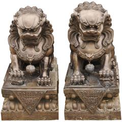 Pair of Extra Large Bronze Chinese Foo Dogs Keiloon Fu Temple Statue, China