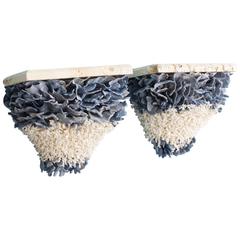 Pair of Blue and Lace Coral Wall Brackets