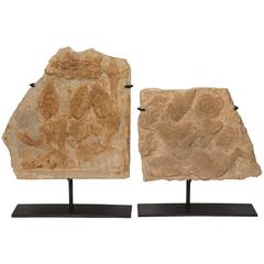 Carved Sandstone Temple Fragments
