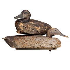 Antique Decoy Ducks