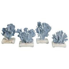 Curated Blue Coral Sculptures, Presented on Coquina Stone Bases