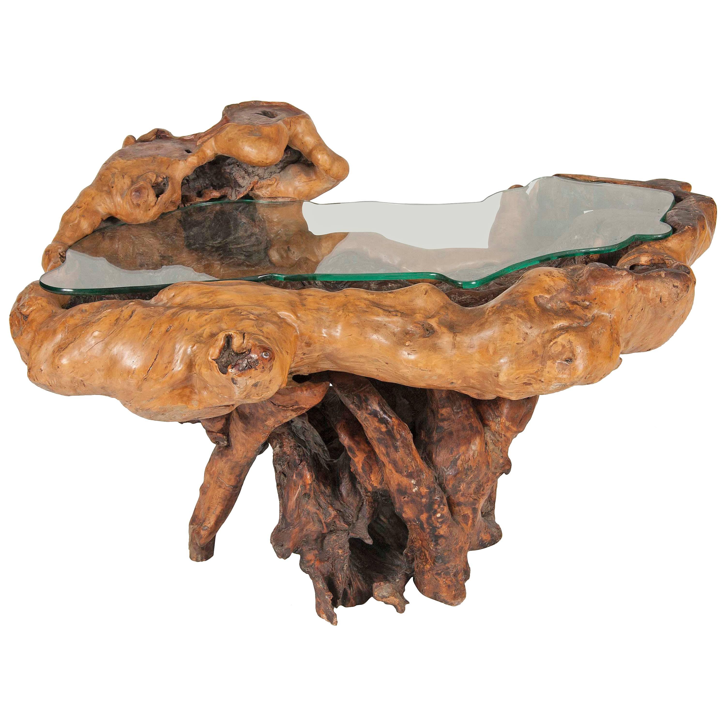 Impressive Ancient Chinese Scholar Root as Table For Sale