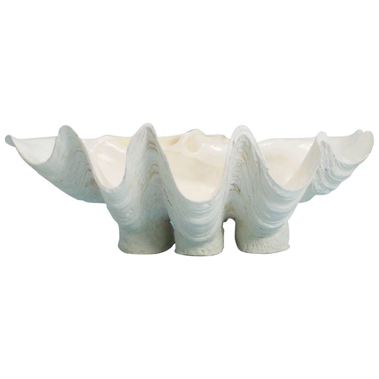 Giant Clam on a Footed Base For Sale