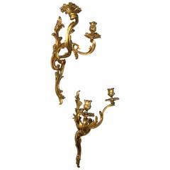 Beautiful Pair of Louis XV Style Gilt Bronze Wall Lights, Late 19th Century