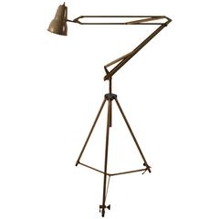 Adjustable Industrial Angle Poise Lamp by Luxo