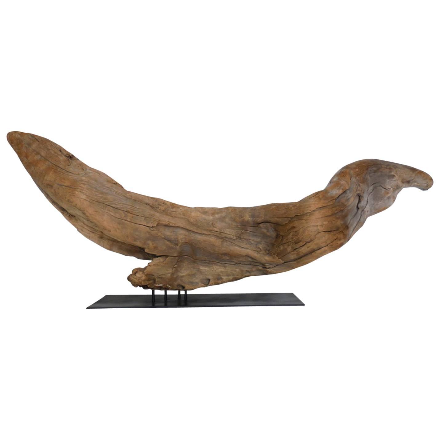 Driftwood Sculpture For Sale at 1stdibs