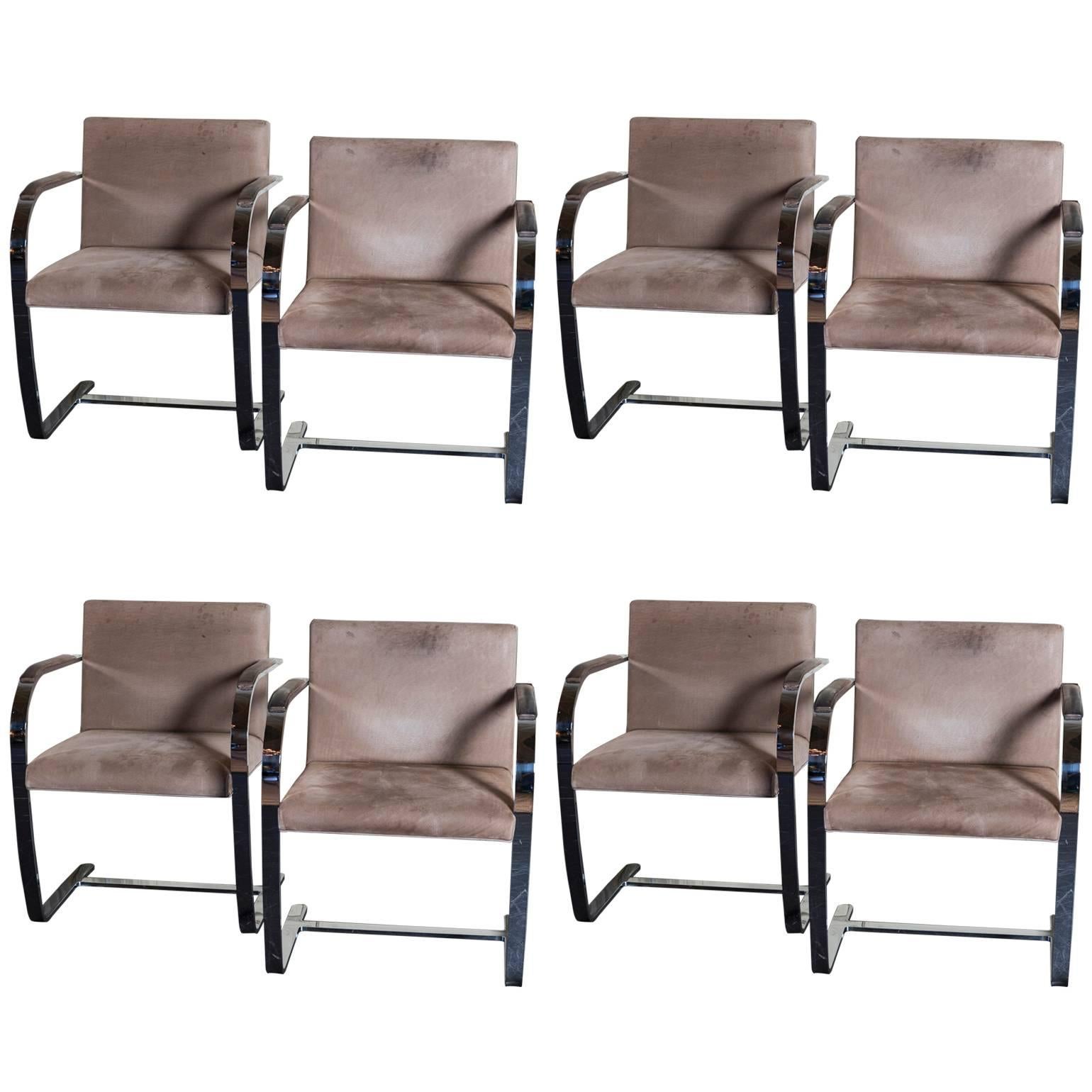 Set of Eight Knoll Brno Chrome and Original Leather Dining Chairs
