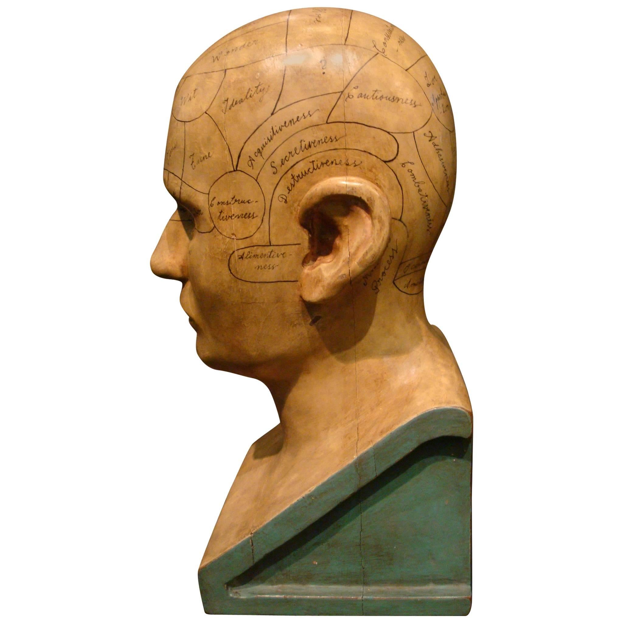 Carved and Painted Wooden Phrenology Head Model Folk Art Americana