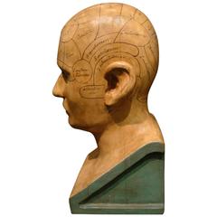 Antique Carved and Painted Wooden Phrenology Head Model Folk Art Americana