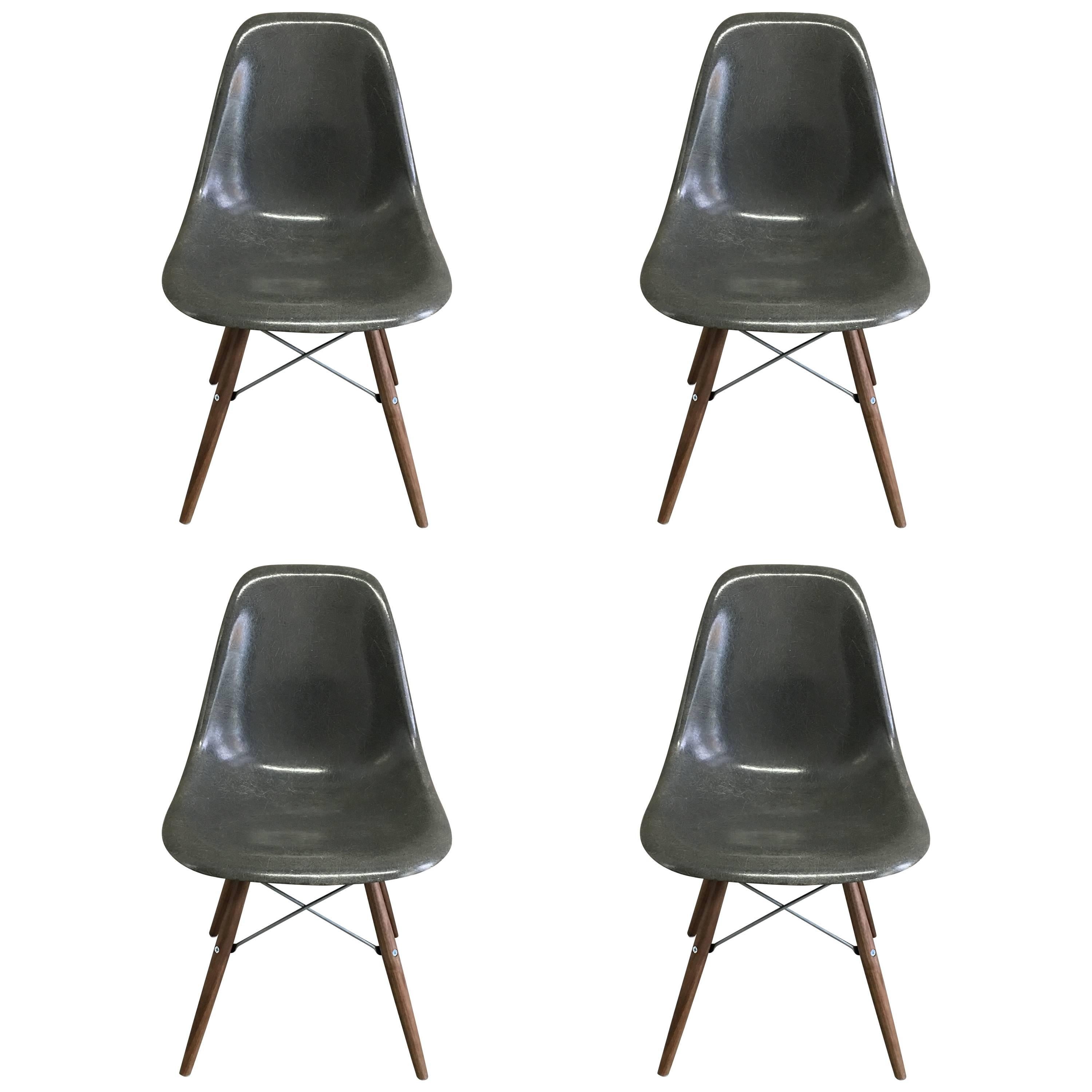 Four Herman Miller Eames vintage fiberglass dining chairs in elephant grey. All shells in vintage condition. New walnut stained dowel bases.