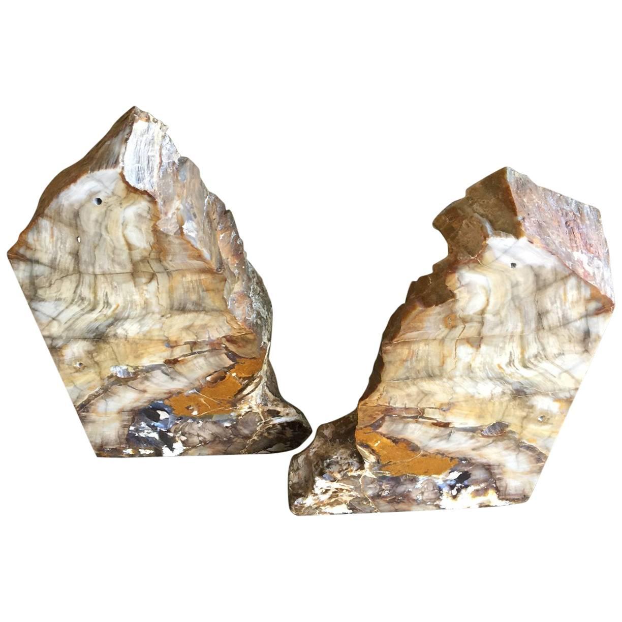 Impressive Pair of Petrified Wood Bookends