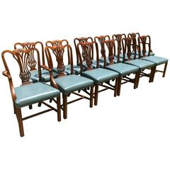 12 Chippendale Dining Chairs in Mahogany 