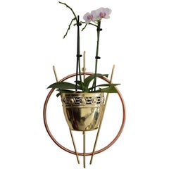 Vintage Wall-Mounted Plant Holder